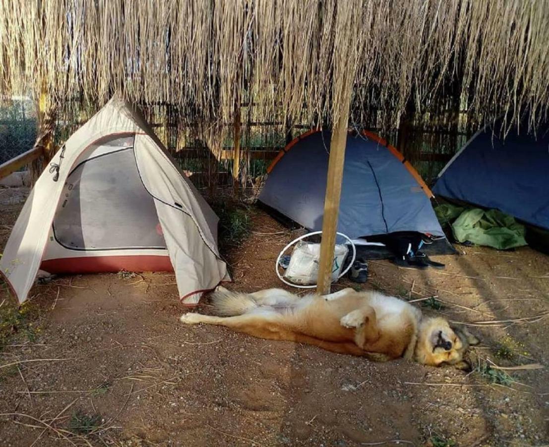Chillsteps Hostel Fethiye Ngoại thất bức ảnh